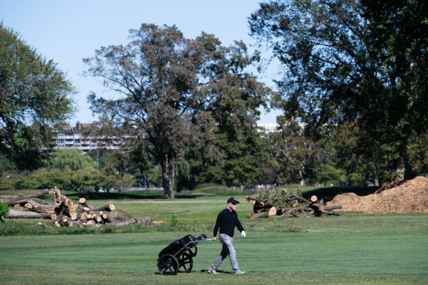 Judge puts new limits on Trump’s golf course renovation, blocks removal ...