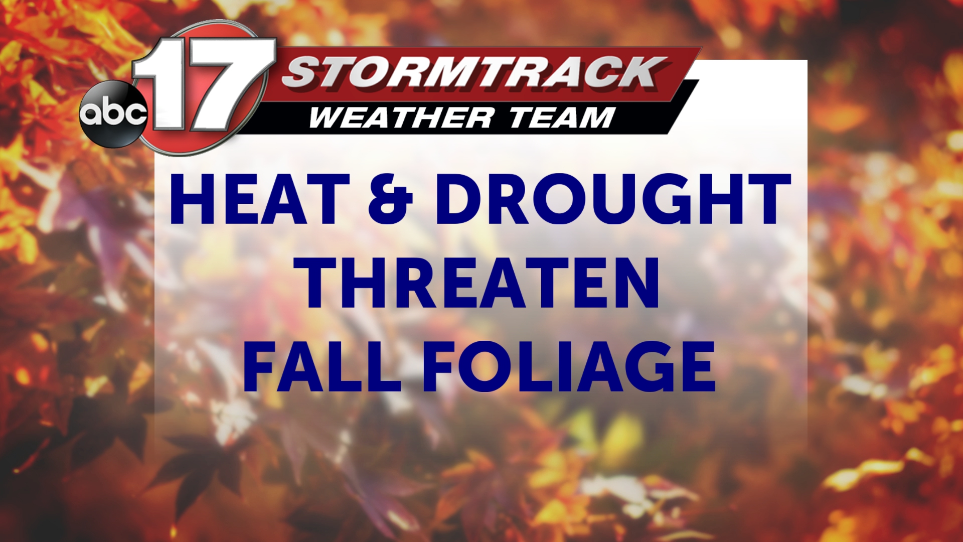 High temperatures and drought threaten autumn foliage in Mid-MO